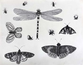 Different sized bugs in crosshatch pattern