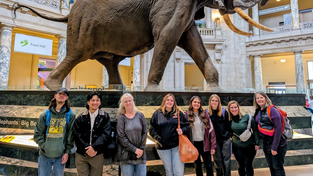students at museum with elephant