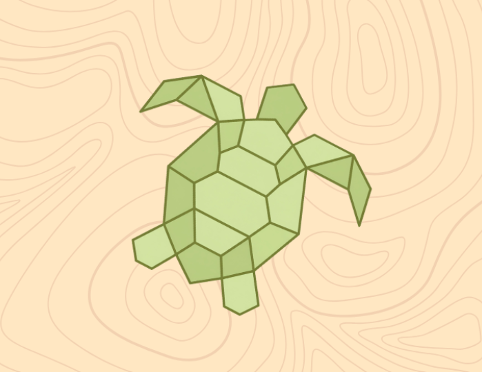 Turtle drawing 