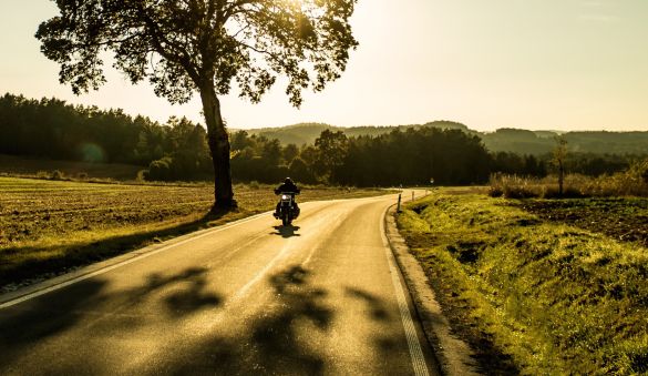 Motorcyle driver on road with tree