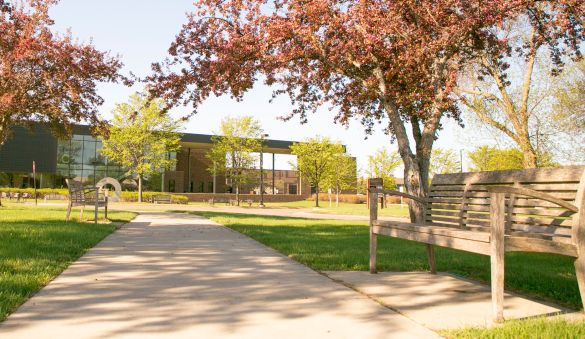 bench, trees with pink blossoms in front of SCTCC