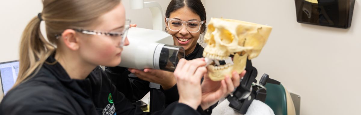 dental assistants setting up practice x-ray