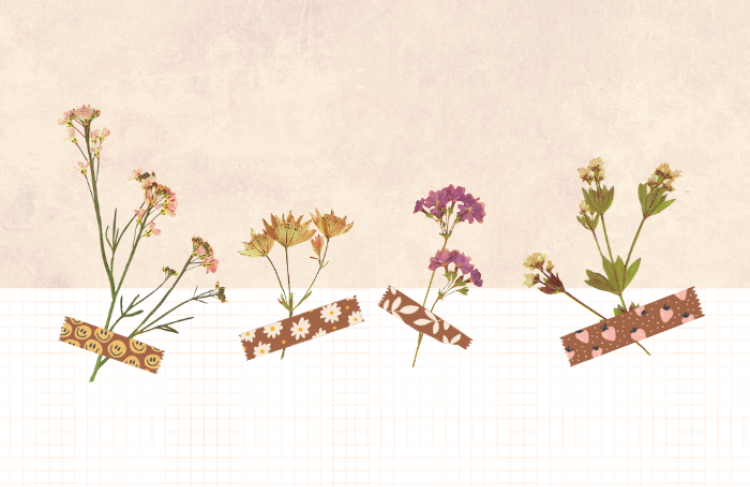 Graphics of wildflowers taped up by washi tape