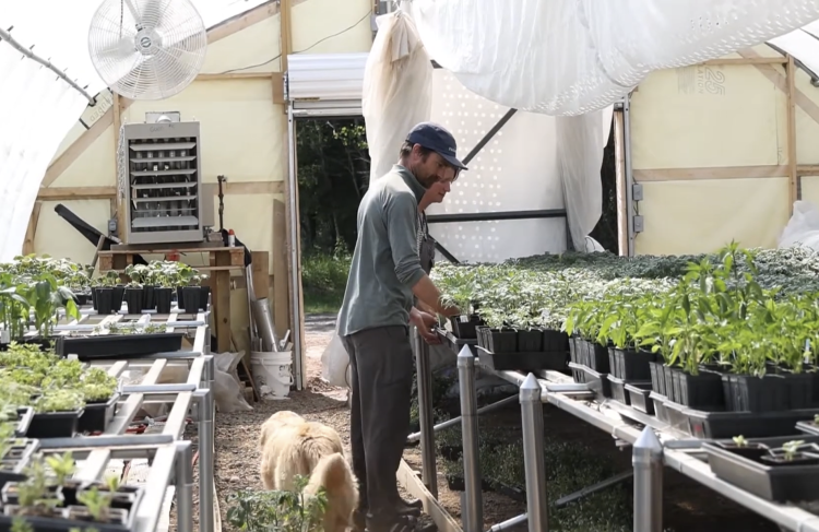 two people in a greenhouse