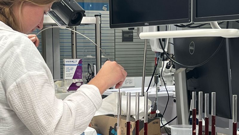 Woman working with instruments in a lab