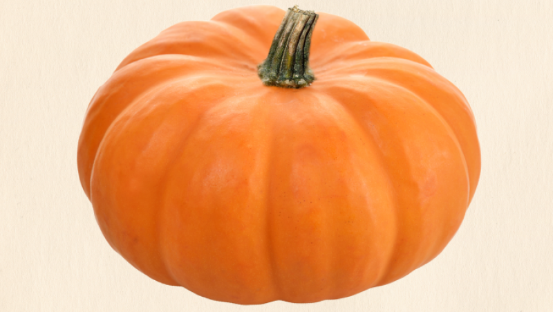 Picture of a pumpkin