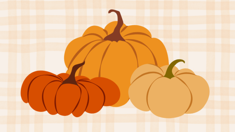three pumpkins in different shapes and colors