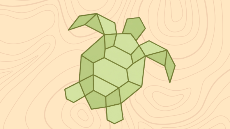 Turtle drawing 
