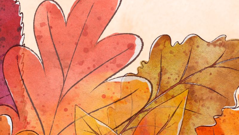 Aututmn leaves against a cream background