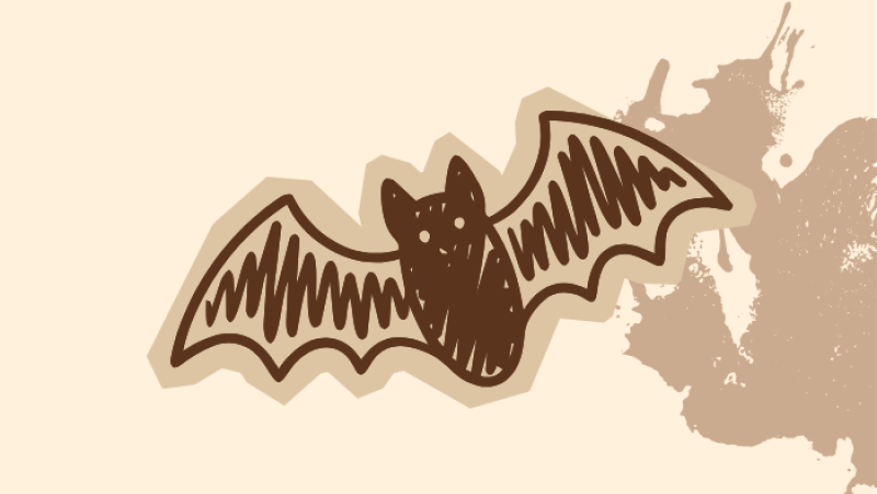bat image