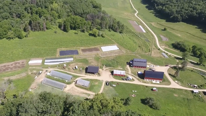 aerial view of farm