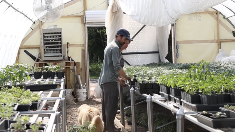 two people inside a greenhouse