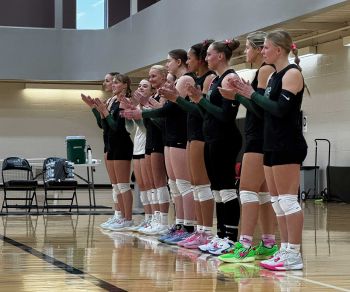 Volleyball team in a row, clapping