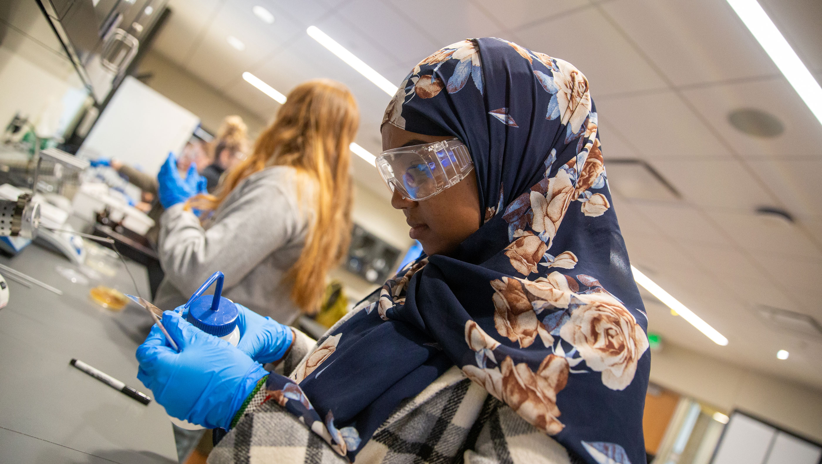 Student looking at petri dish