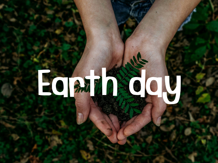 earth day, hands holding fern