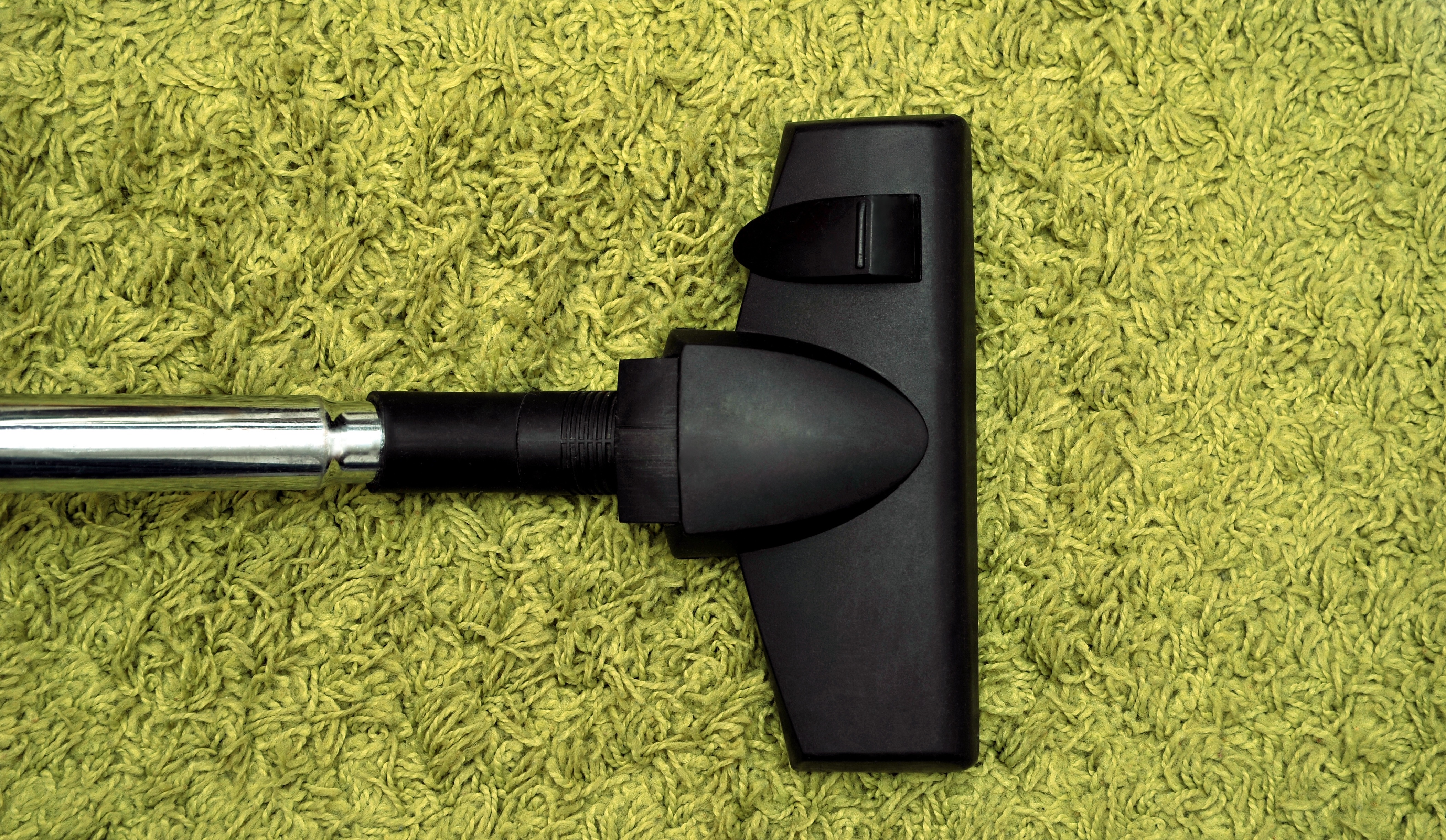 vaccuming green shag rug